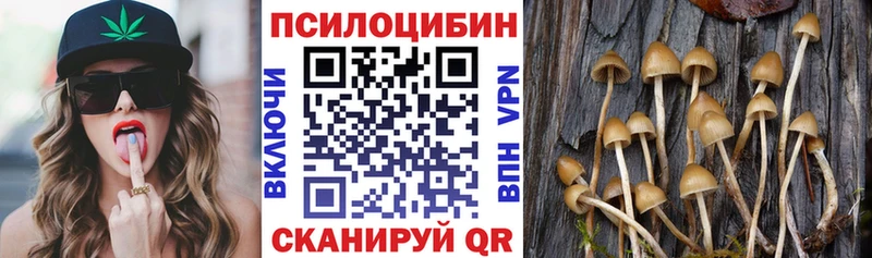 Псилоцибиновые грибы Magic Shrooms  Купить  Брянск 