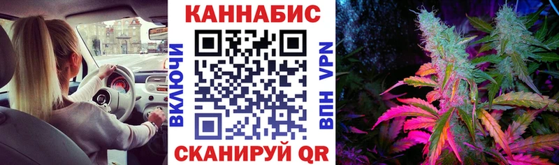 Конопля OG Kush  Купить  Брянск 